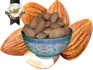 فروش انواع بادام درختی سامان + قیمت