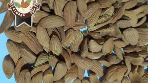 فروش مغز بادام شاهرودی با قیمت مناسب