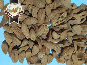 فروش مغز بادام شاهرودی با قیمت مناسب