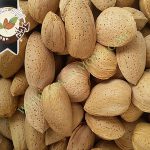 صادرات بادام تلخ درجه یک