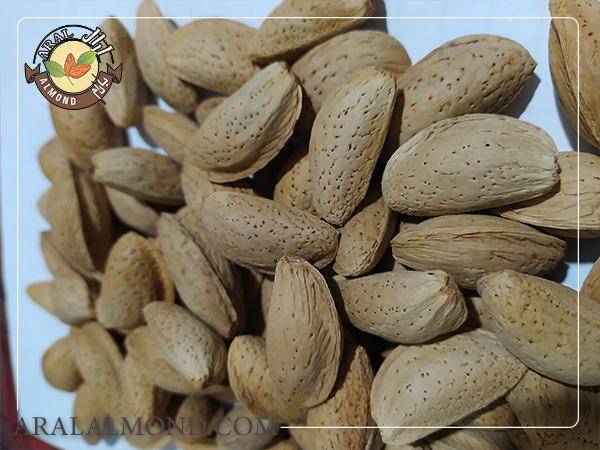 نهال این بادام دارای چه ویژگی هایی است؟