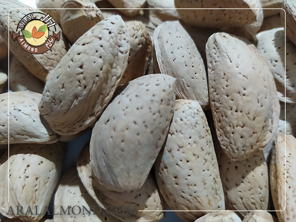 روش های کاربردی برای استفاده مفید از بادام منقا