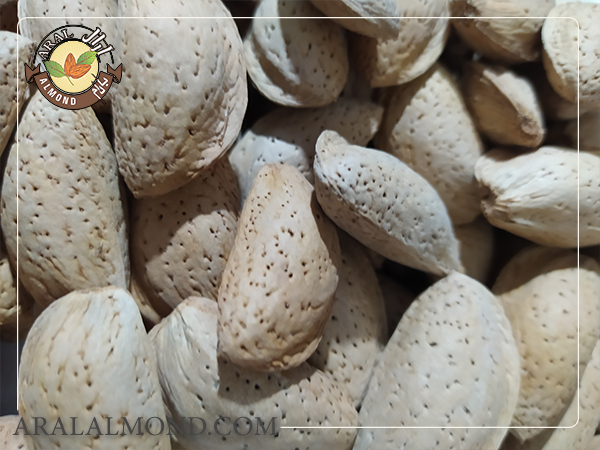 برترین خاصیت های بادام سفید کدام اند؟