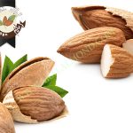 چه خواصی روی قیمت مغز بادام مامایی تاثیر گذاری بیشتری دارد؟
