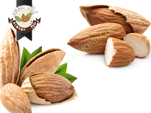 قیمت مغز بادام بر چه اساسی تعیین می شود؟