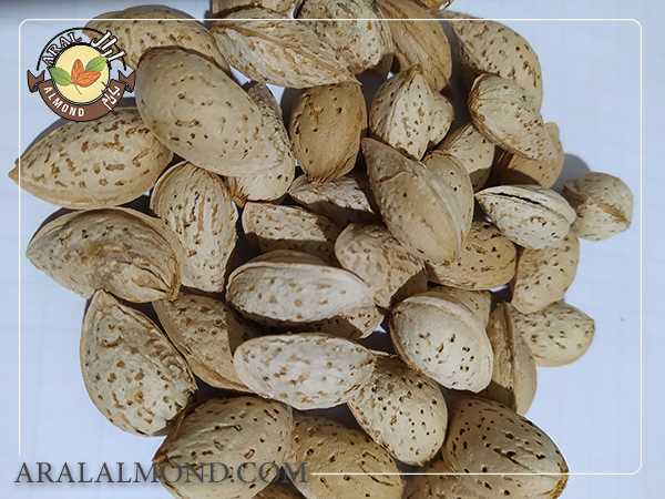 چرا قیمت بادام سنگی درختی نسبت به سایر بادام های درختی دیگر کمتر است؟