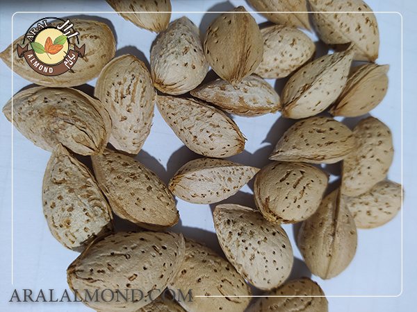 خواص دارویی بادام سنگی و ارزش تغذیه ای آن برای بدن به چه صورت می باشد؟
