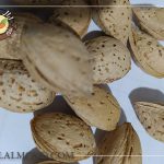 خرید بادام منقا خارجی با قیمت مناسب