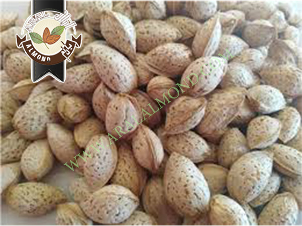 قیمت بادام پوست کاغذی درجه یک