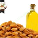 تولید انبوه مغز بادام تلخ برای روغن گیری