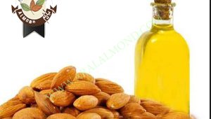 تولید انبوه مغز بادام تلخ برای روغن گیری