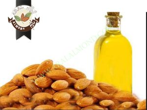 تولید انبوه مغز بادام تلخ برای روغن گیری