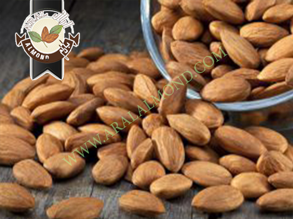 خرید مغز بادام ربیع درجه یک