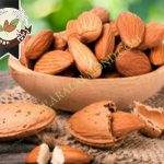 خرید مغز بادام ایرانی با قیمت مناسب