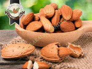 خرید مغز بادام ایرانی با قیمت مناسب