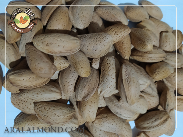 قیمت بادام مامایی اصفهان درجه یک چقدر است؟