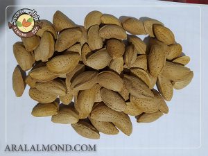 قیمت بادام مامایی اصفهان جهت خرید