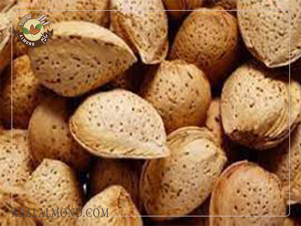 سفارش بادام ربیع با کیفیت