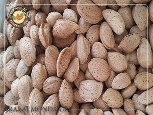 چگونگی سفارش از گروه تجاری بادام آرال، مرکز خرید بادام آذر در ایران
