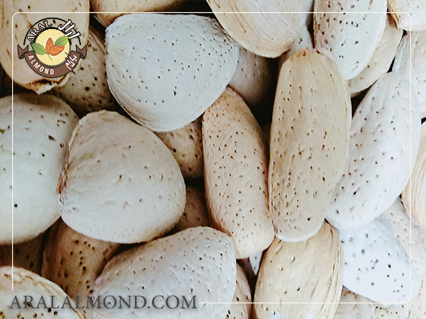 بادام سنگی در ابتدا به چه صورتی به بازار عرضه می شود؟