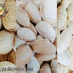 قیمت بادام سنگی عمده