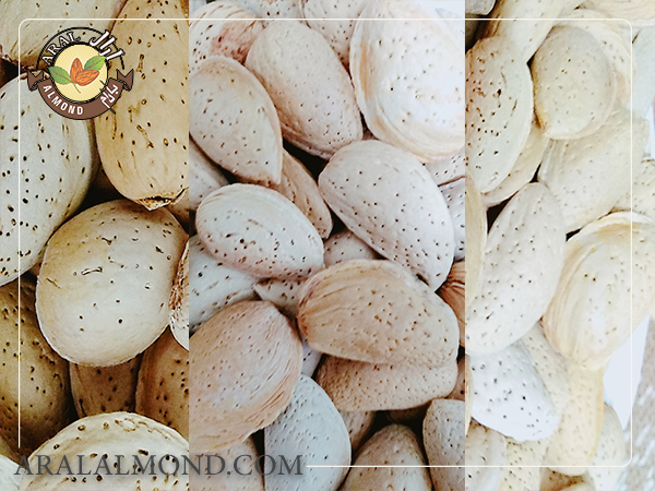 قیمت بادام سنگی عمده