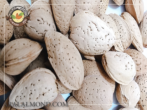 خواص بادام سنگی