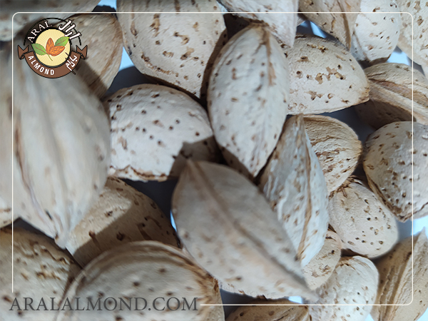 ویژگی های بادام سفید درجه یک سامان