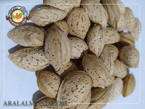 قیمت بادام سفید درجه یک سامان