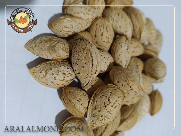 قیمت بادام سفید درجه یک سامان