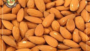 قیمت بادام ایرانی درجه یک