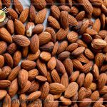 فروش مغز بادام شیرین برای روغن گیری