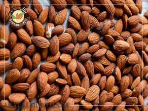 فروش مغز بادام شیرین برای روغن گیری