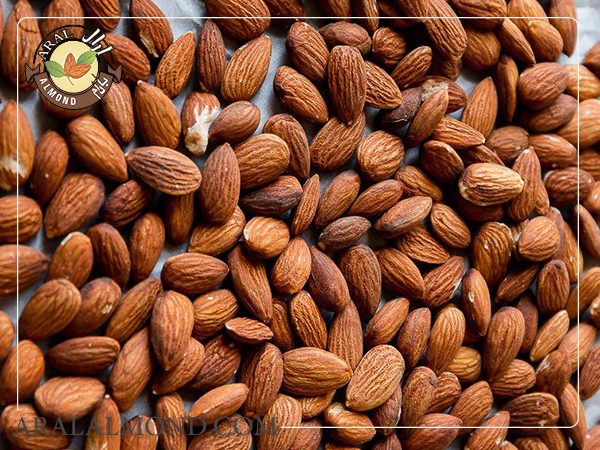 فروش مغز بادام شیرین برای روغن گیری