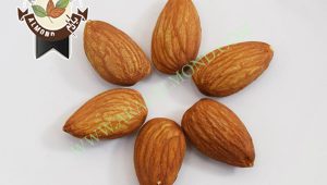 خرید اینترنتی بادام افغان در ایران