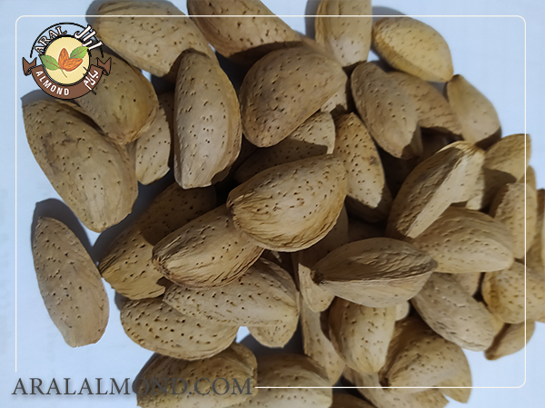 ویژگی های بادام مامایی