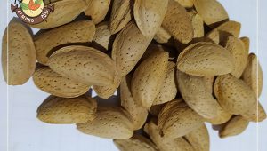 قیمت فروش عمده بادام مامایی سامان