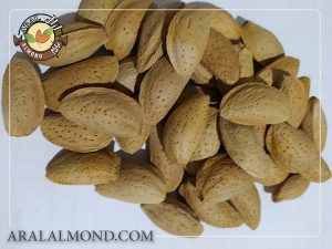 قیمت فروش عمده بادام مامایی سامان