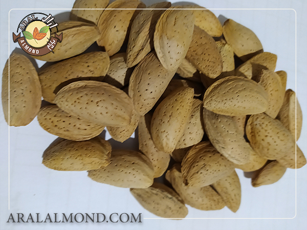 قیمت فروش عمده بادام مامایی سامان