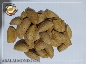 قیمت فروش عمده بادام مامایی سامان