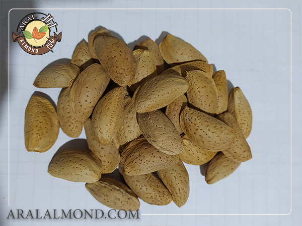 تشخیص کیفیت بادام مامایی شهرکرد