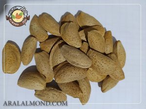 قیمت فروش عمده بادام مامایی سامان