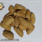 قیمت بادام مامایی شهرکرد برای فروش عمده