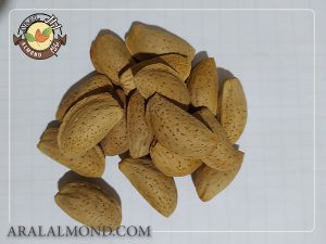 قیمت بادام مامایی شهرکرد برای فروش عمده