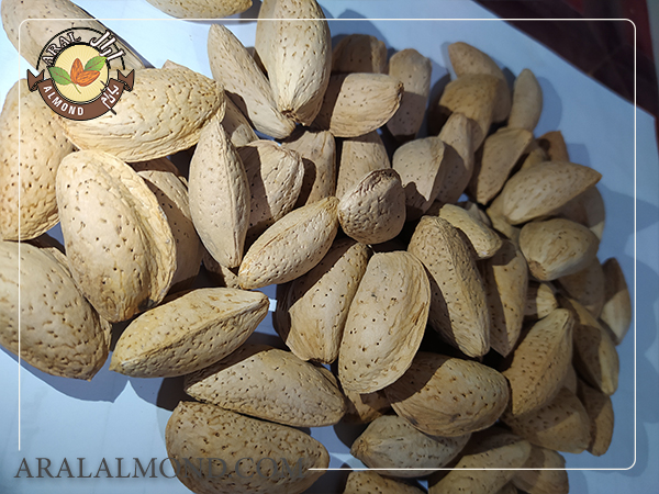 قیمت فروش عمده بادام مامایی سامان