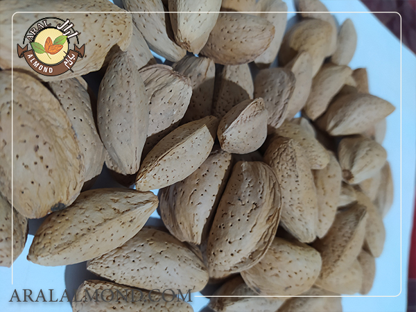 بررسی قیمت بادام مامایی با پوست و بدون پوست