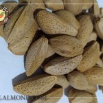 قیمت بادام مامایی با پوست