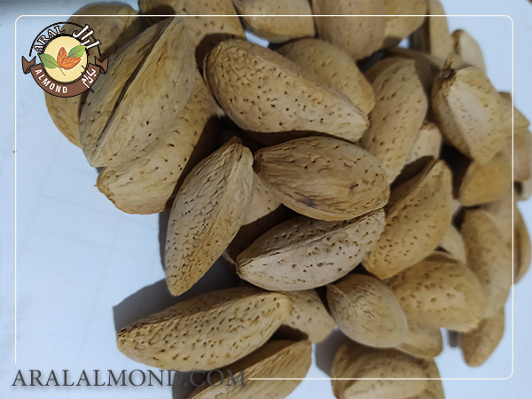 قیمت بادام مامایی با پوست