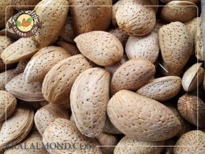 صادرات انواع بادام درختی ایرانی عمده