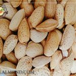 خرید بادام سنگی مرغوب از طریق وب سایت معتبر